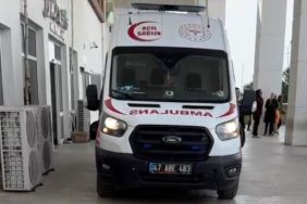 mardin nusaybin