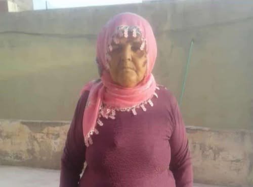 Mardin’de otomobilin çarptığı kadın hayatını kaybetti