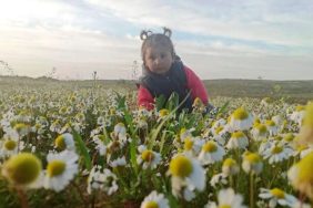 zeynep