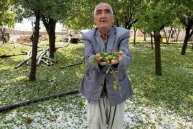 mazıdağı