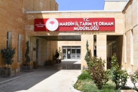 mardin taırm
