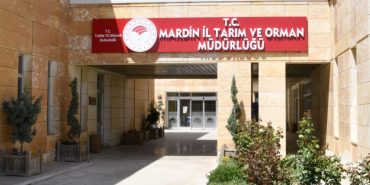 mardin taırm