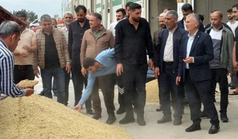 Mardin’de sezonun ilk arpa hasadında 3 ton verim elde edildi