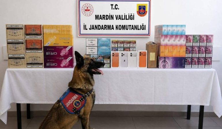 Mardin’de 2 Milyonluk kaçakçılık operasyonu: 2 gözaltı